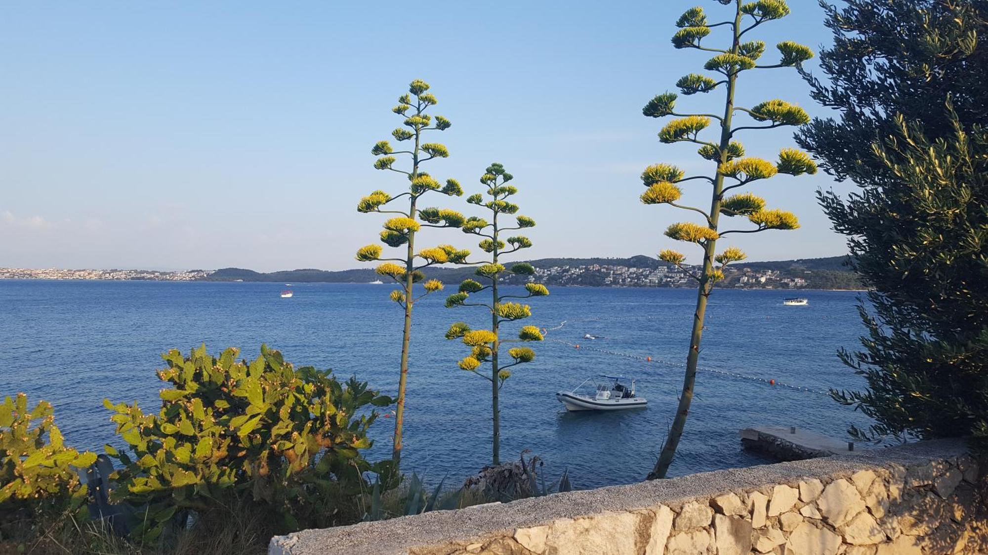 Tri Masline With Seaview Apartament